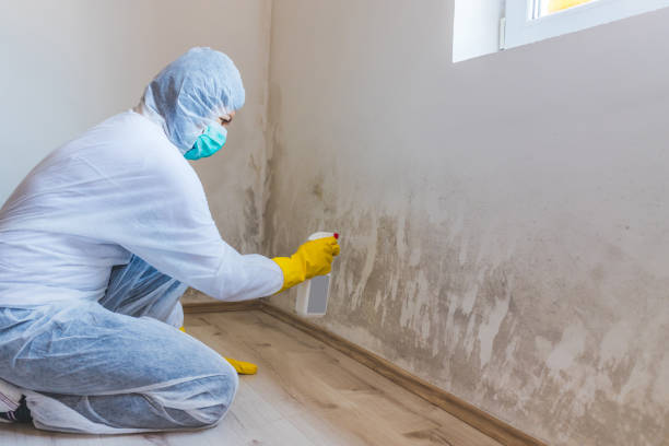 Licensed Crawl Space Mold Removal service in Cheltenham, MD - WQB Mold Removal