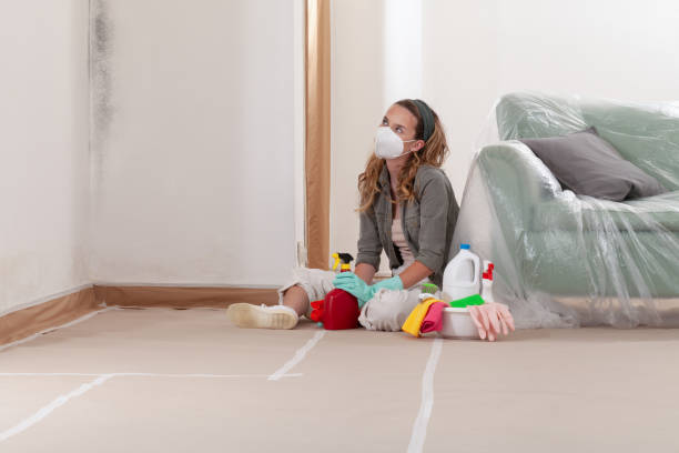 Reliable Crawl Space Mold Removal contractor in Cheltenham, MD by WQB Mold Removal